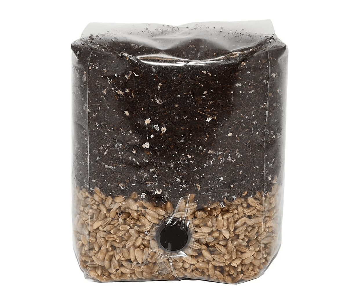 Mushroom Grow Bag - All In One