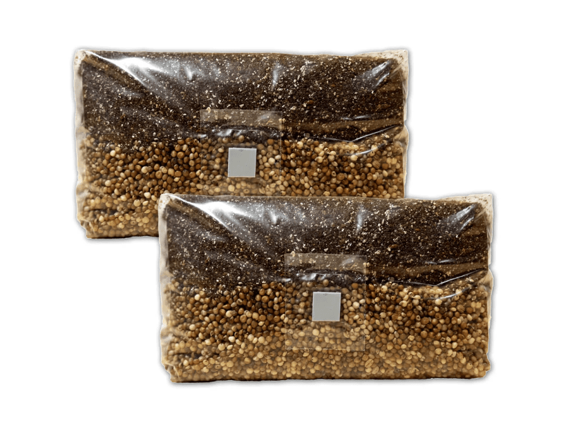 Mushroom Grow Bag - All In One - 2x