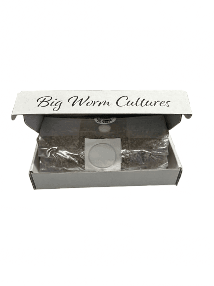 Sterile 1.5lb Grain Bag